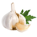 low price high quality Chinese fresh and natural pure white garlic for wholesale